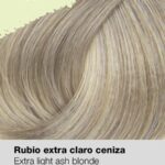 0025730_risfort-coloracao-101-rubio-extra-claro-ceniza-100ml-profissional_600