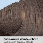 0025760_risfort-coloracao-634-rubio-oscuro-dorado-cobrizo-100ml-profissional_600
