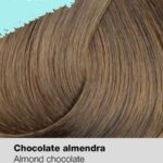 0025787_risfort-coloracao-7ch-chocolate-almendra-100ml-profissional_600