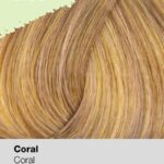 0025796_risfort-coloracao-863-coral-100ml-profissional_600
