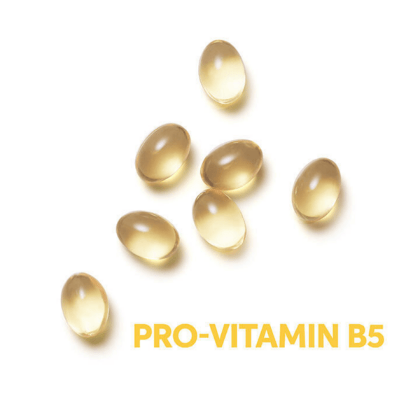 El kit Wella Professionals Invigo Sun Care ofrece protección UV, hidratación y reparación intensiva para todo tipo de cabello antes, durante y después de la exposición al sol.