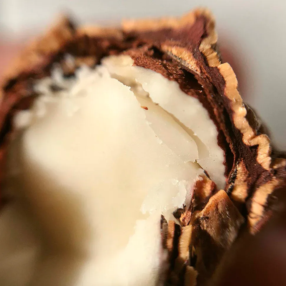 Natura Ekos Óleo de Duche Trifásico Castanha 200 ml